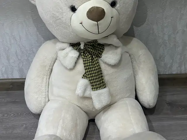Мишка, Хуҷанд