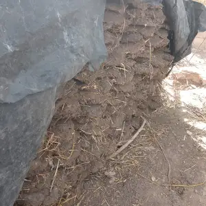 Тапак, Ваҳдат