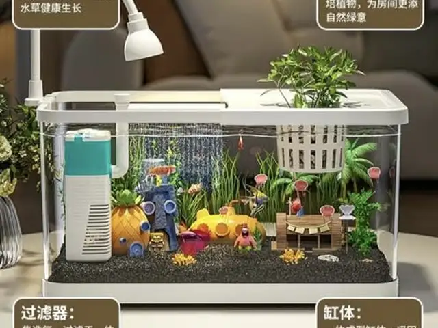 Аквариум, Худжанд