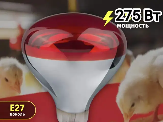 Инфракрасная лампа 275 Вт, Худжанд