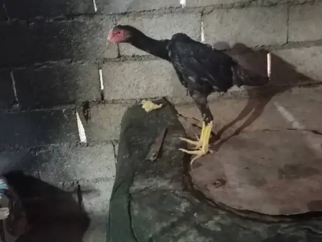 Дакан, Данғара