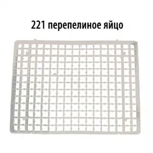 Флейка, Гиссар