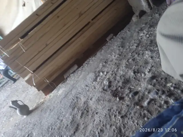 Тахта, Хуҷанд
