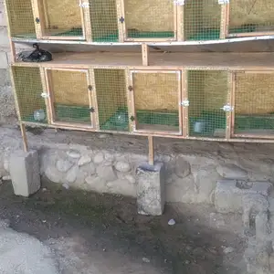 Клетка, Вахдат