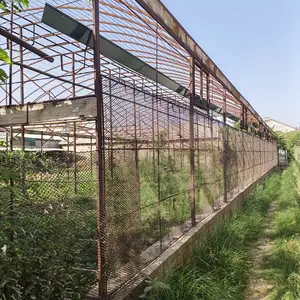 Теплица, Душанбе