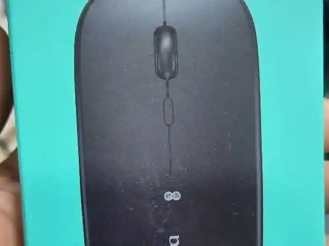 Мышь, Душанбе