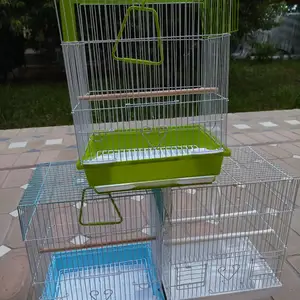 Клетка для канареек, Худжанд