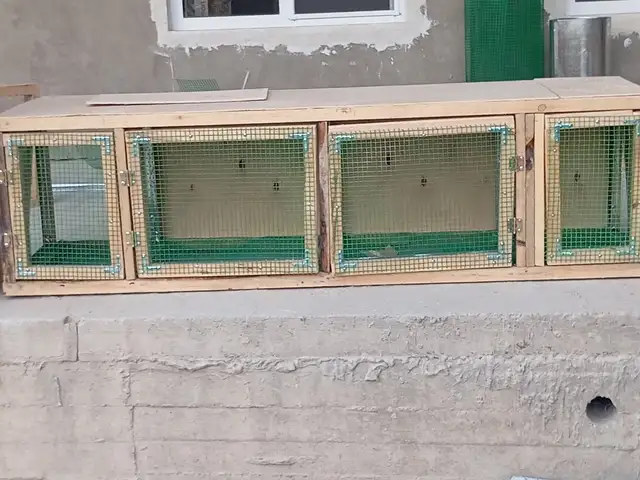 Клетка для кролика, Конибодом