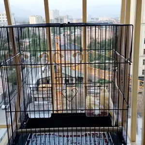 Канарейка, Вахдат