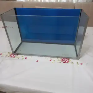 Аквариум, Худжанд