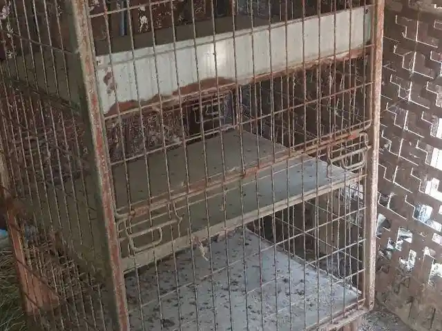 Кафас, Худжанд