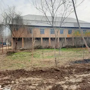 Птицеферма, 7,5 Га земли, Гиссар