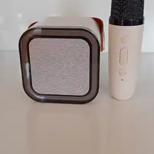 Портативная колонка с микрофоном, Душанбе