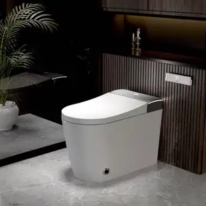 Умный унитаз Xiaomi, Худжанд