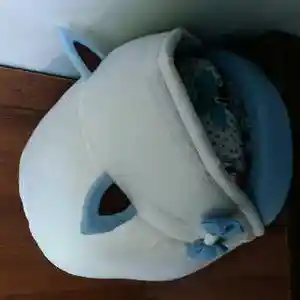Домик для кошек, Худжанд