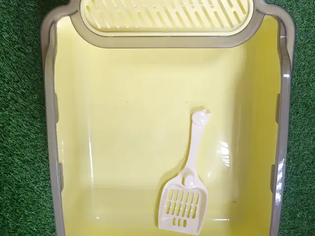 Лоток для кошек, Хуҷанд