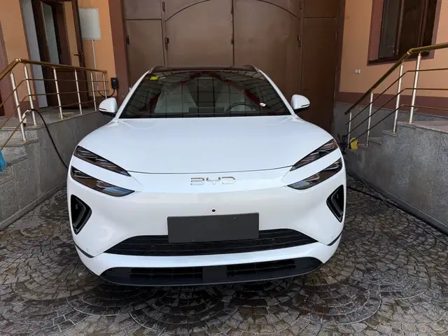 BYD Sea Lion 06