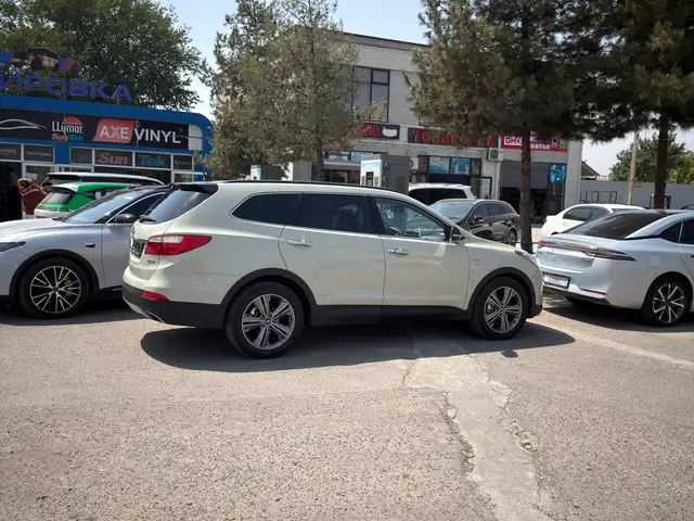 Hyundai Maxcruz