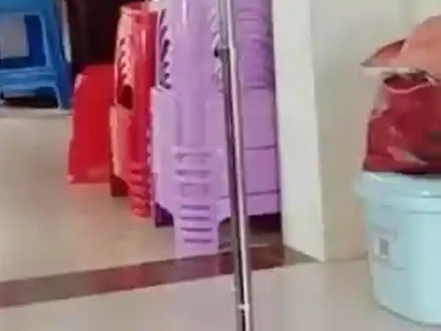 Груша, Душанбе