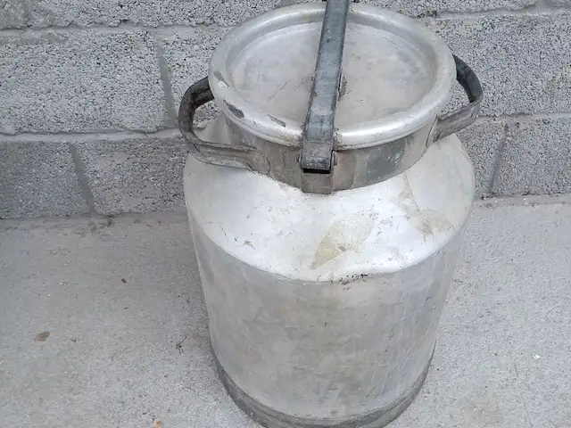 Фляга, Худжанд