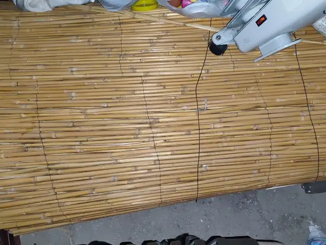 Камыш, Бустон (Чкаловск)