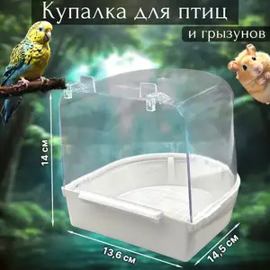 Клетка для птиц, Душанбе
