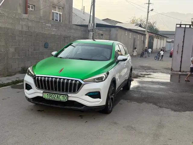 Hongqi E-HS9