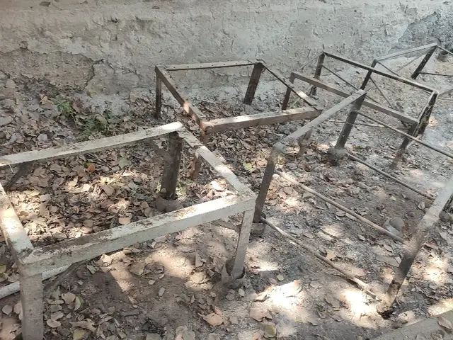 Подставка барои ящикхои асалзамбур, Бохтар (Курғон-Теппа)