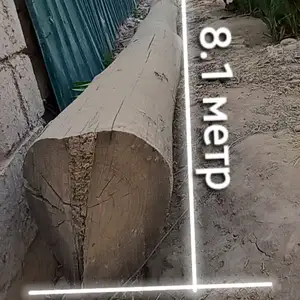 Симчуб, Дусти (Джиликуль)