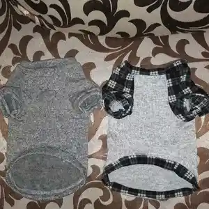 Кофта для кошек и собак, Душанбе