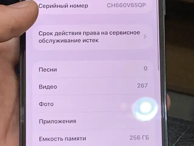 Apple iPhone 13 Pro Max, 256 gb, Sierra Blue, Бохтар (Курган-Тюбе)