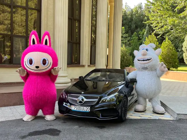 Услуги Аниматора, Хуҷанд