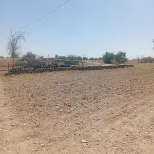 Чалмаи гӯсфанд, Зафаробод