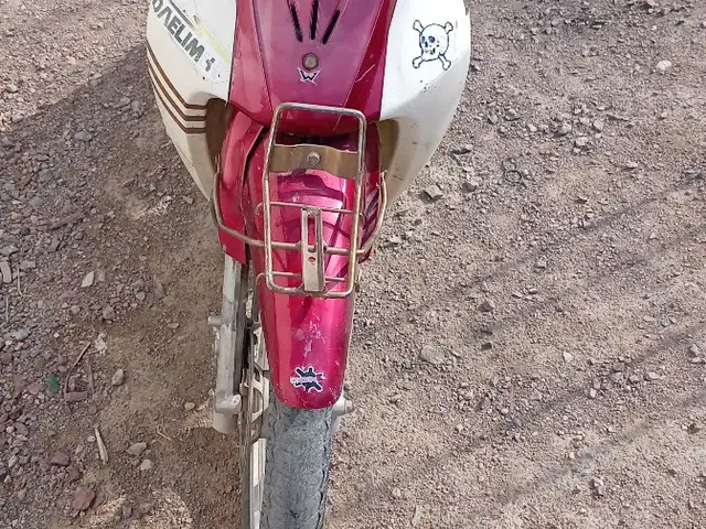 Скутер утка, Худжанд
