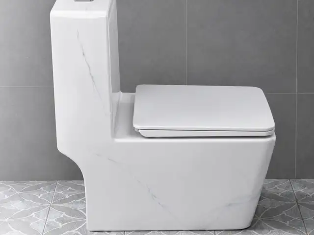 Унитаз, Душанбе