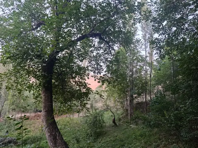 2 этажн. 2-комн. дом, 13 соток, деҳаи Кулоли Ҷамоати деҳоти Рӯдакӣ, Панҷакент - 6