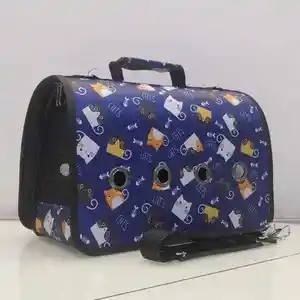 Переноска для животных, Душанбе
