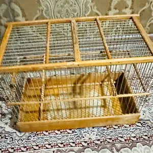 Клетка, Душанбе
