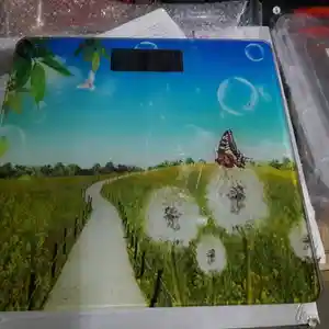 Весы, Душанбе