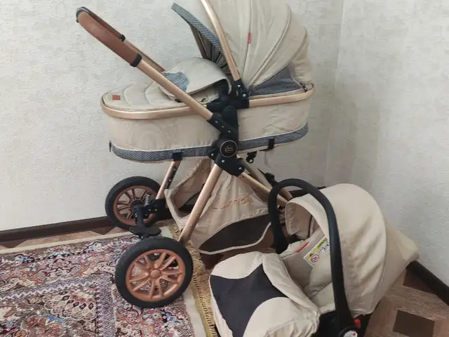 Коляска, Душанбе