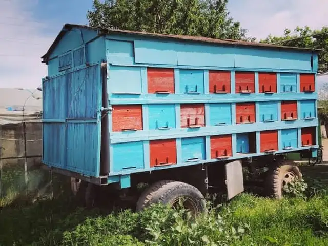 Вагони занбурпарвари, Бохтар (Курғон-Теппа)