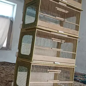 Кафас барои парандаҳо, Душанбе