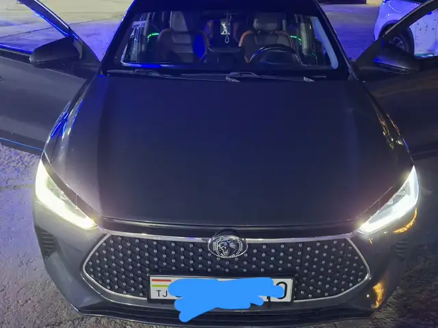 BYD E2