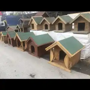 Будка, Душанбе