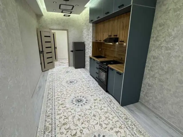 Колин, Душанбе