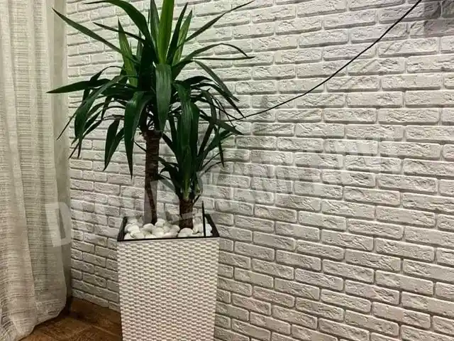 Клинкер гипс на заказ, Душанбе