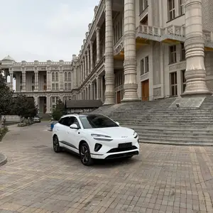 BYD Sea Lion 06