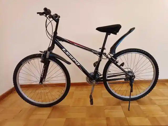 Велосипед корейский, Душанбе