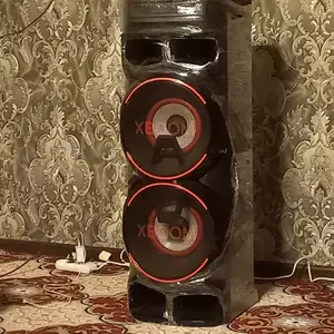 Колонка LG, Рудаки