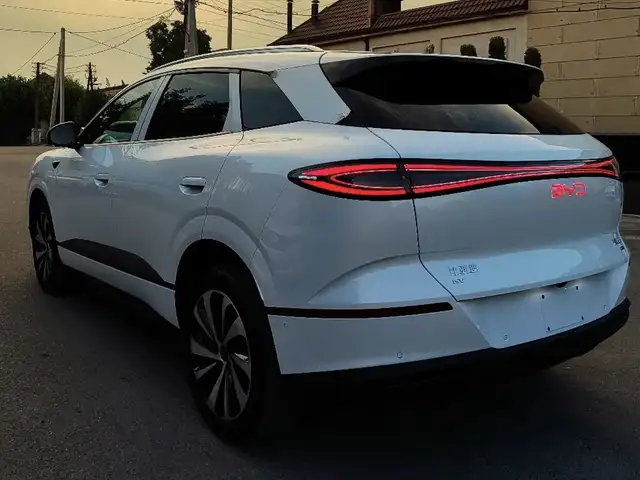 BYD Sea Lion 06